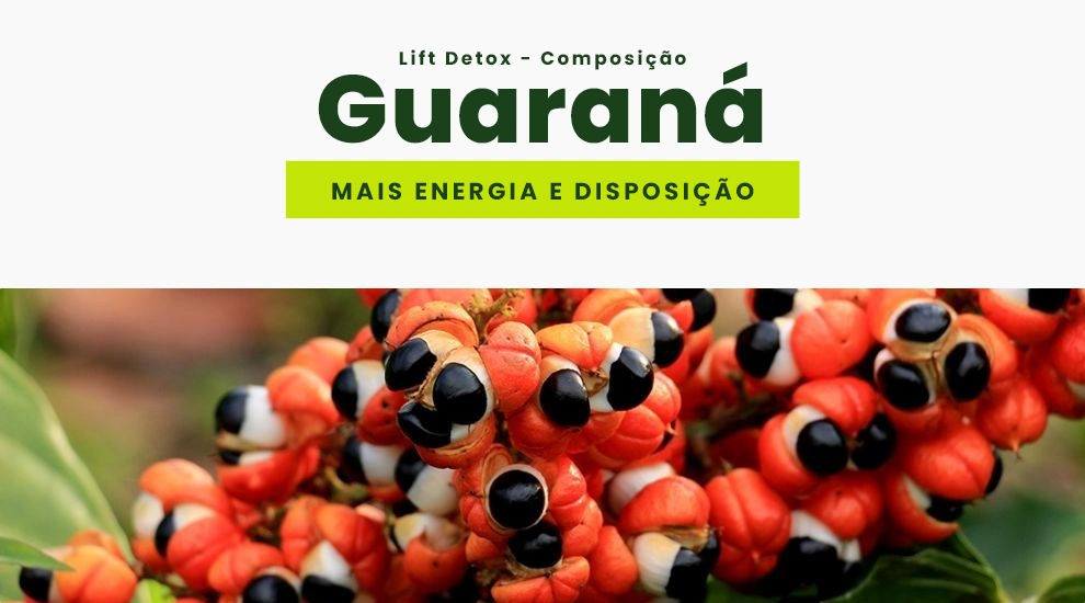 Lift Detox Composição